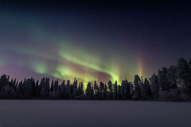 Best Of Lapland: Sauna, Ice swimming, Dinner & Northern Lights - Who will enjoy this most