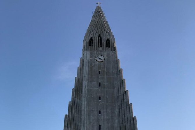 Blue Lagoon & Reykjavík Sightseeing - PRIVATE TOUR - What the private format really gives you