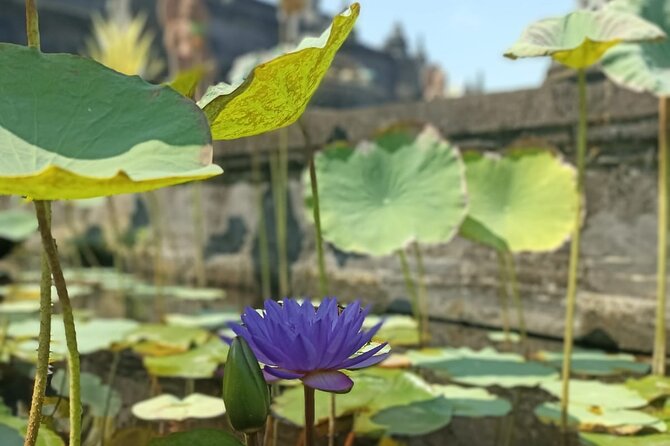 Brahmavihara Arama Banjar Hot Spring Ulundanu Bratan Private Tour - Is $39 good value?