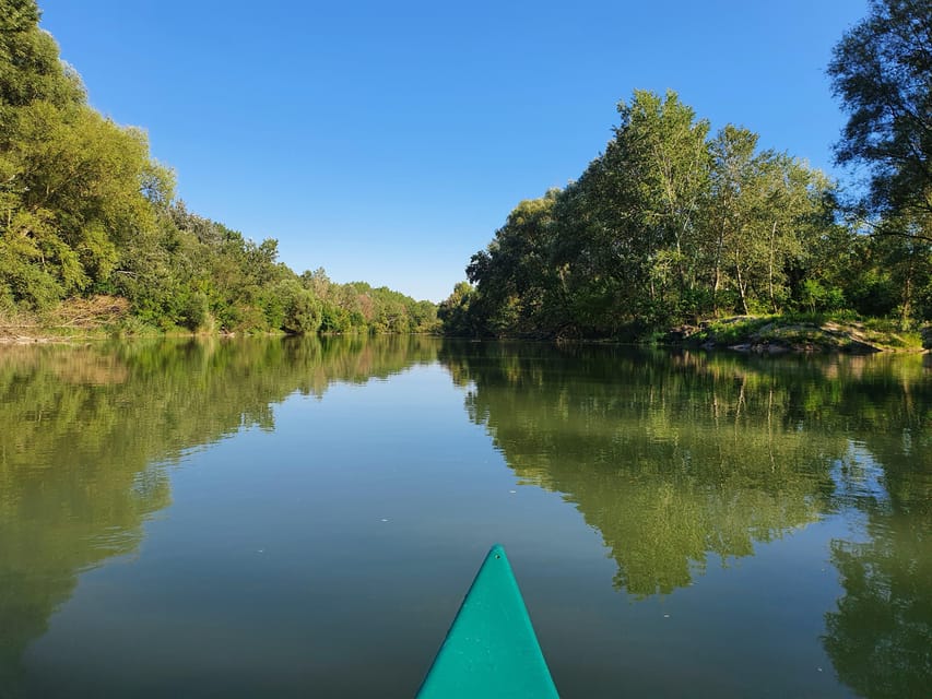 Budapest: Canoeing the Danube w or wo Sauna or Danube Beach - The ride back makes the day easy