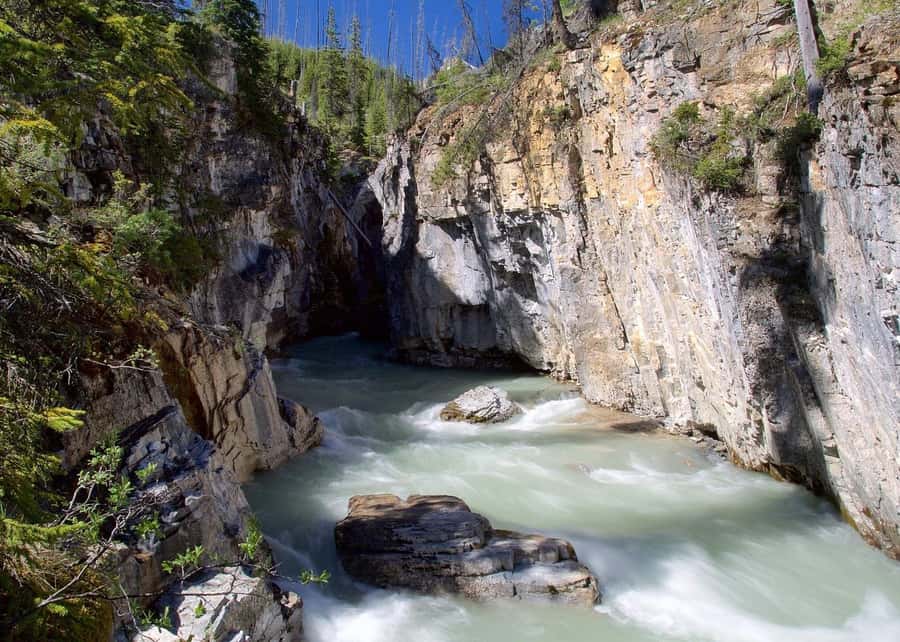 Calgary: Radium Hot Springs & Marble Canyon Day Trip - The day in brief