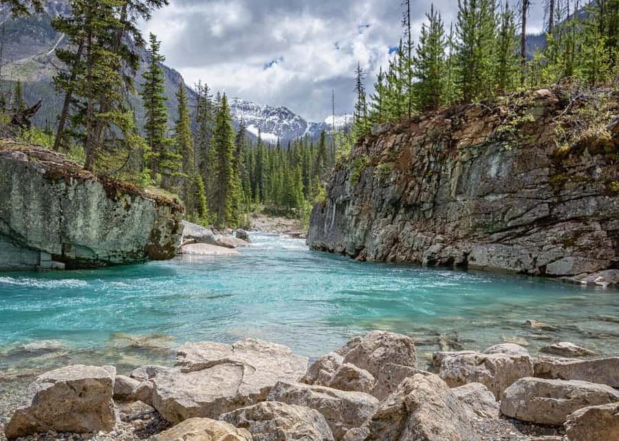 Calgary: Radium Hot Springs & Marble Canyon Day Trip - Why this makes a good mountain day trip