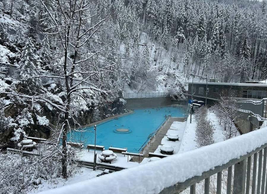 Calgary: Radium Hot Springs & Marble Canyon Day Trip - Who should book it