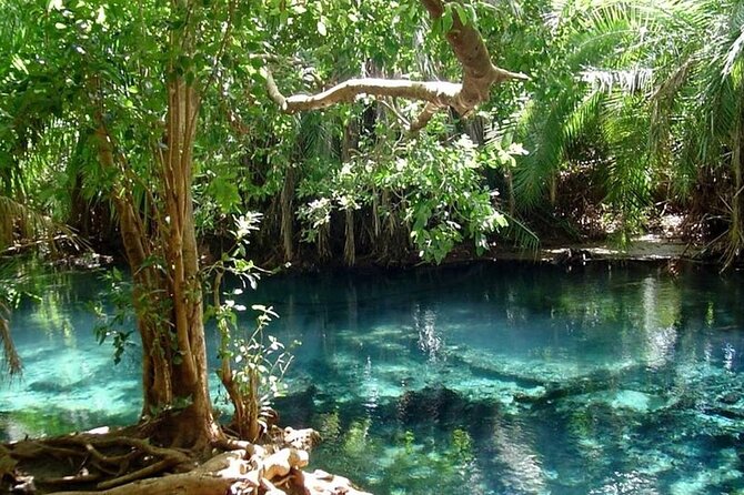 Chemka Hot Springs Day Trip - The group size can change the mood