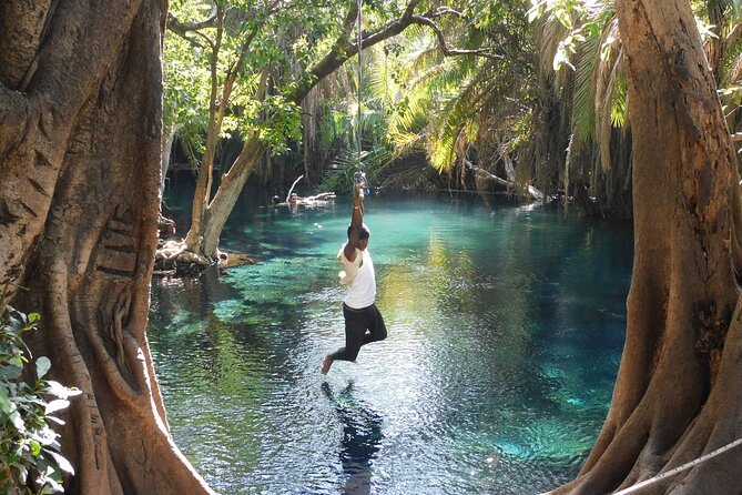 Chemka (Kikuletwa) Hot Springs, Tanzania - What the swim is really like