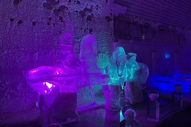 Chena Hot Spring Day Tour - The ice museum and the apple martini stop