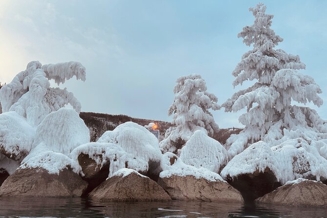 Chena Hot Spring Day Trip - Is $190 a fair price?