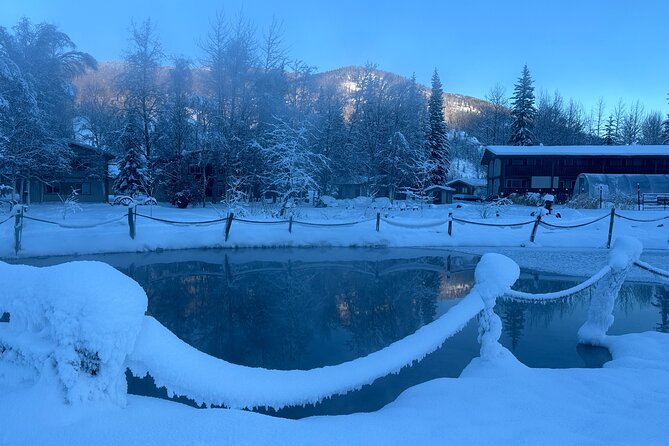 Chena Hot Spring Day Trip - Booking details worth checking first