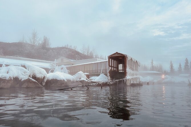 Chena Hot Spring Day Trip - Should you book the Chena Hot Springs day trip?