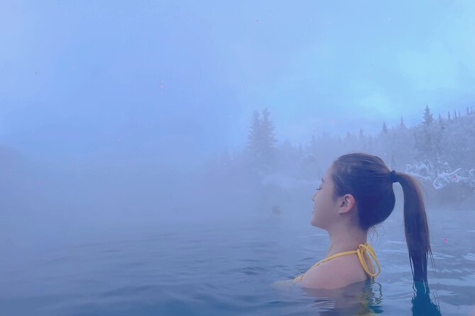 Chena Hot Spring Day Trip - The Aurora Ice Museum at 25°F