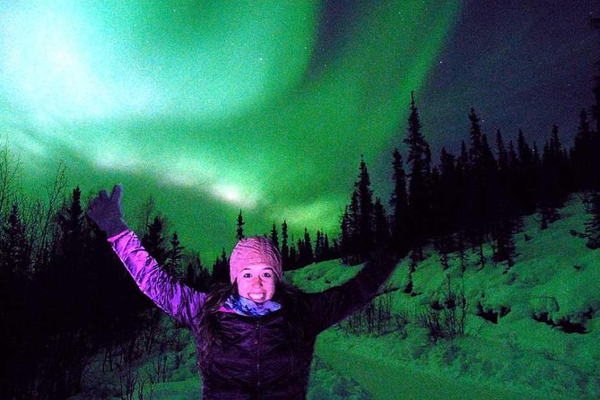 Chena Hot Springs Aurora Tour - The drive through Tanana Valley State Forest