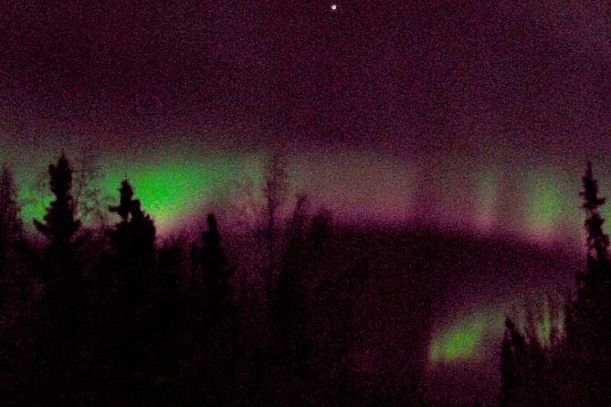 Chena Hot Springs Aurora Tour - Watching for the northern lights on the return