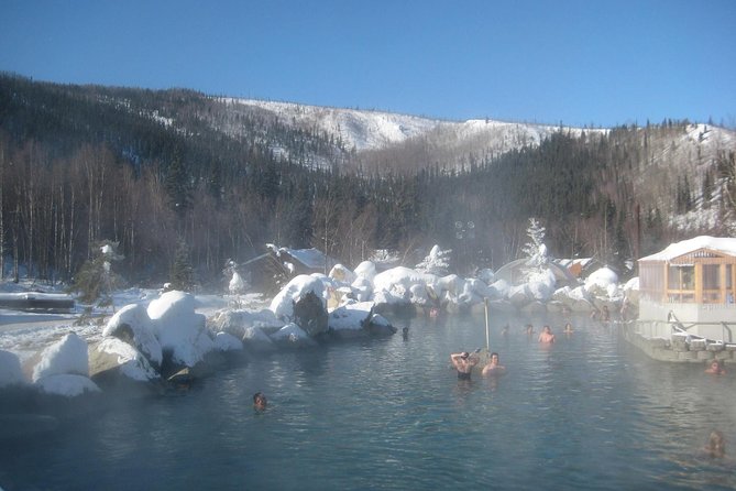 Chena Hot Springs Day Tour - The Aurora Ice Museum in 45 cool minutes