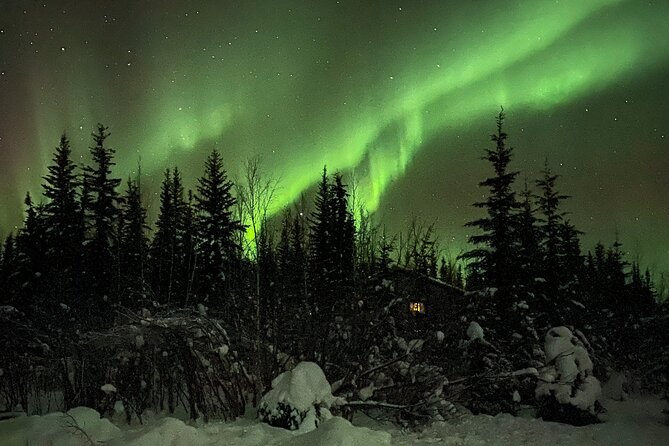 Chena Hot Springs Northern Lights Aurora Borealis From Fairbanks - Chena Hot Springs and the Ice Museum