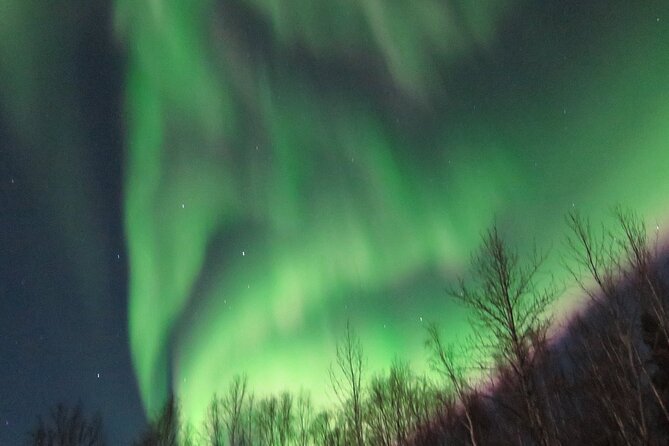 Chena Hot Springs plus Aurora Chase Tour - The weather risk is real, so plan your Fairbanks nights carefully