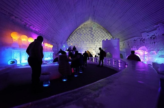 Chena Hot Springs plus Aurora Chase Tour - Who will enjoy this best