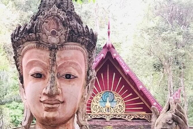 Chiang Rai White Blue Red Temples with Hot Spring from Chaing Mai - What the guide and driver add