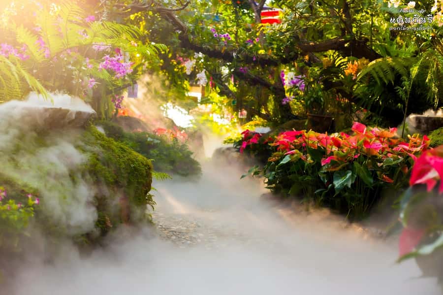 Chiangmai to Chiangrai: 3 Temples, Hot Springs& Lalitta Cafe - Lunch and dietary needs