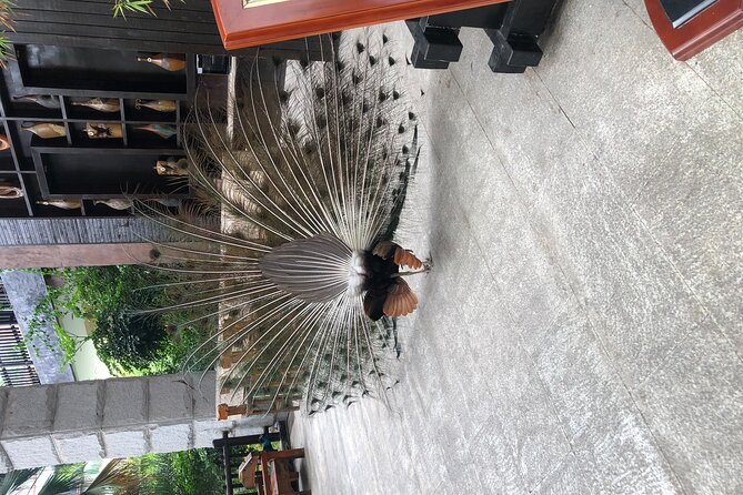 Chongqing Luxury Hot Spring and Massage Luxury Meal Private Tour - Practical details before you reserve