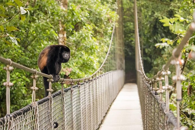 Combo Arenal : Suspension Bridges + Hot Springs + Fortune Falls - La Fortuna Waterfall and the 500-step choice
