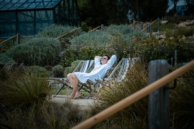 Depart Peninsula: Mornington Wine & Hot Springs Tour with Lunch - The ride, group size, and guide service