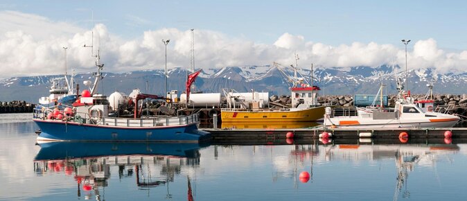 Diamond Circle Myvatn Waterfalls, and Husavik from Akureyri Tour - Quick takeaways from the day