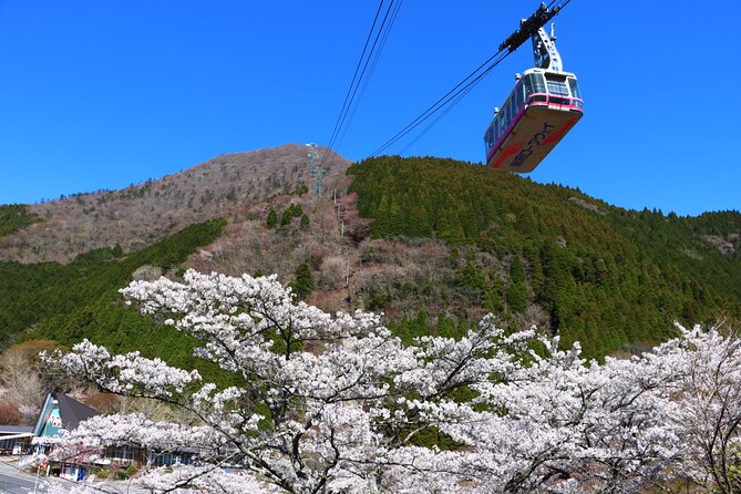 Discover Beppu and Yufuin Nature and Onsen Trip - Lake Kinrinko and the quieter edge of Yufuin