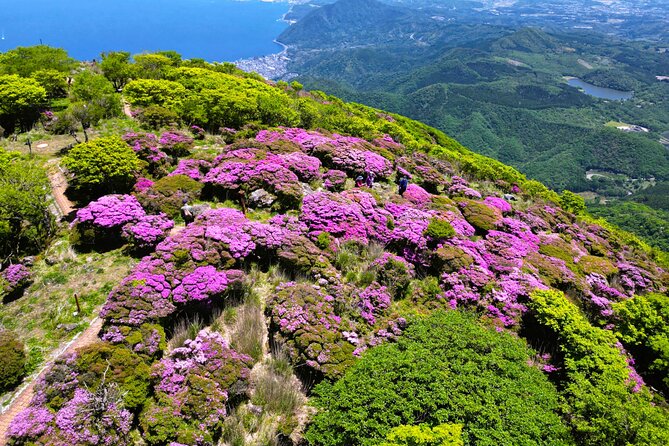Discover Beppu and Yufuin Nature and Onsen Trip - Yunotsubo Kaido, Yufuin’s main walking street
