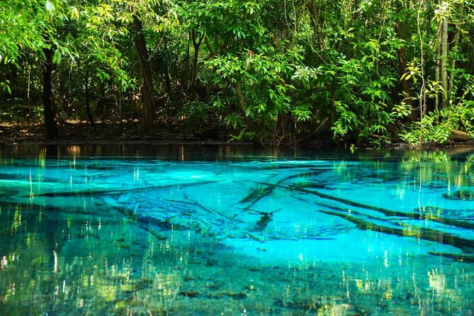 Discover Krabi - Emerald Pool, Hot Springs & Tiger Cave Temple - Emerald Pool first, with a forest walk before the swim