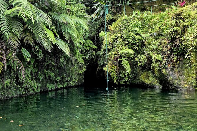 Dominica Adventure Hiking, Swimming, and Hot Springs Tour - Why the small group and guides matter