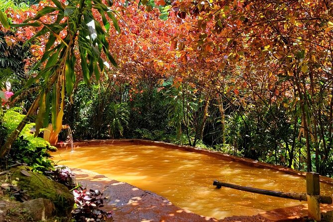 Dominica Adventure Hiking, Swimming, and Hot Springs Tour - Freshwater Lake and the high mountain air