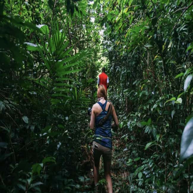 Dominica Hot Springs Waterfalls and Titou Gorge Treasures - Who will enjoy this day most?