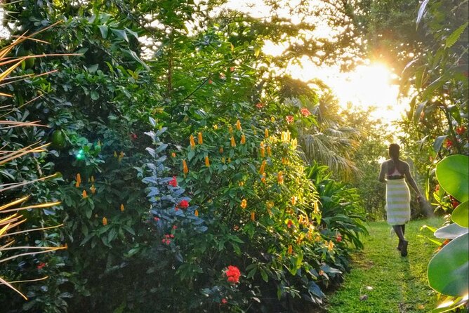 Dominica Hot Springs Waterfalls & Titou Gorge Treasures - What the guide adds to the day