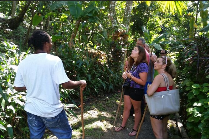 Dominica Hot Springs Waterfalls & Titou Gorge Treasures - Is $129 a fair price?