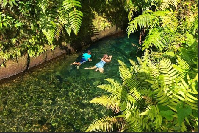 Dominica Hot Springs Waterfalls & Titou Gorge Treasures - Trafalgar Falls: two cascades and a short rainforest walk