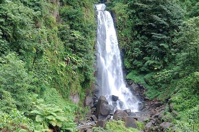 Dominica Scenic Waterfalls and Hot Springs @ Autop Tours - A quick route from Roseau into the Roseau Valley