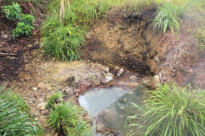 Dominica Scenic Waterfalls and Hot Springs @ Autop Tours - Is $35 a fair price for this Dominica outing?