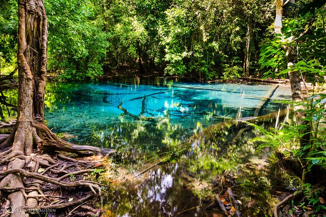 ECO Premium Jungle Hot Springs and Temple Tour - Should you book the Tiger Cave Temple and hot springs day?