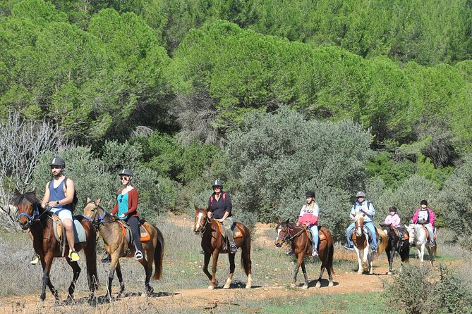 Ephesus Full Day Tour & Horse Safari + Lunch - Opt Turkish Bath - What the $45 price really covers