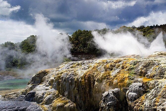 Ex Auckland: Rotorua Māori Village with Haka and Hot Springs - Why this Auckland to Rotorua day trip works