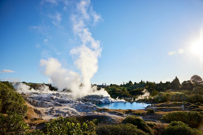 Ex Auckland: Rotorua Māori Village with Haka and Hot Springs - Two hours at Polynesian Spa