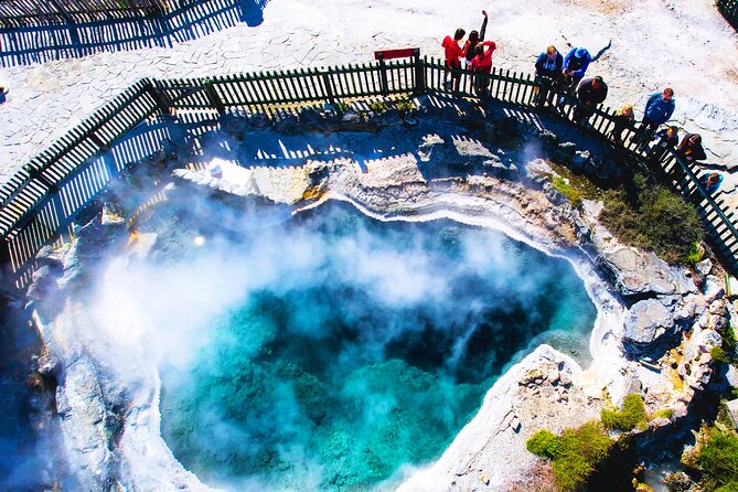 Ex Auckland: Rotorua Māori Village with Haka and Hot Springs - The long ride back to Auckland