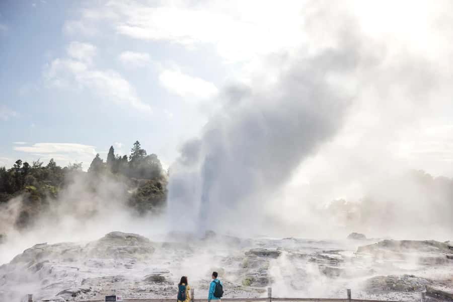 Ex Auckland: TE PUIA Geothermal, Redwood & Blue Springs - The early Auckland departure and the long road south