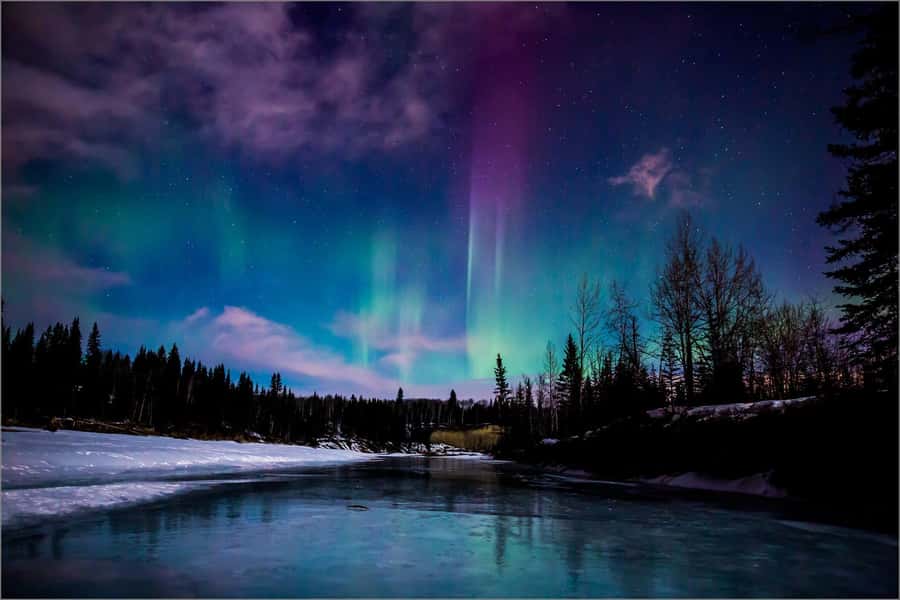 Fairbanks: Northern Lights and Chena Hot Springs Tour - Key points about the Chena evening