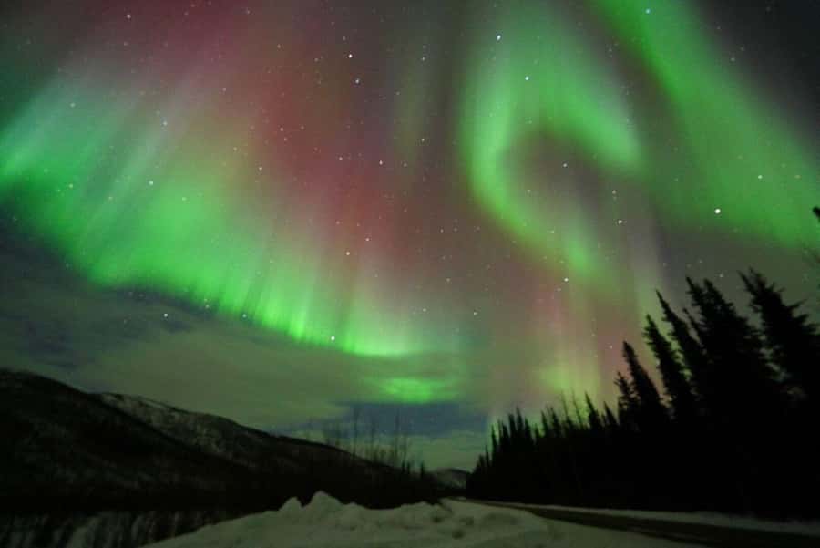 Fairbanks: Northern Lights and Chena Hot Springs Tour - Which guide can shape the night