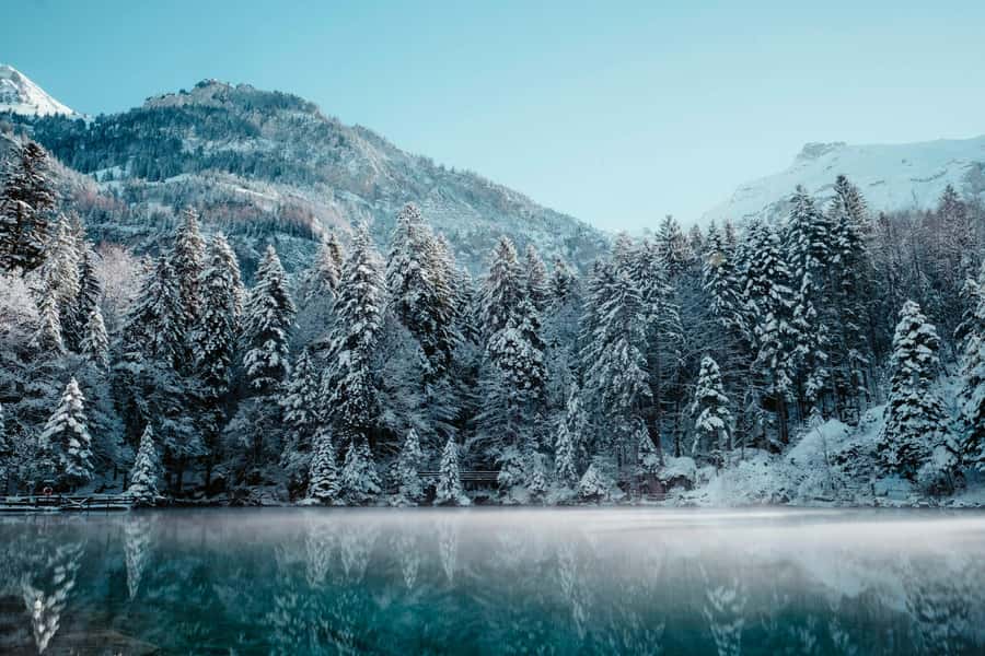 Fairbanks: Northern Lights and Chena Hot Springs Tour - Who should book this Fairbanks outing