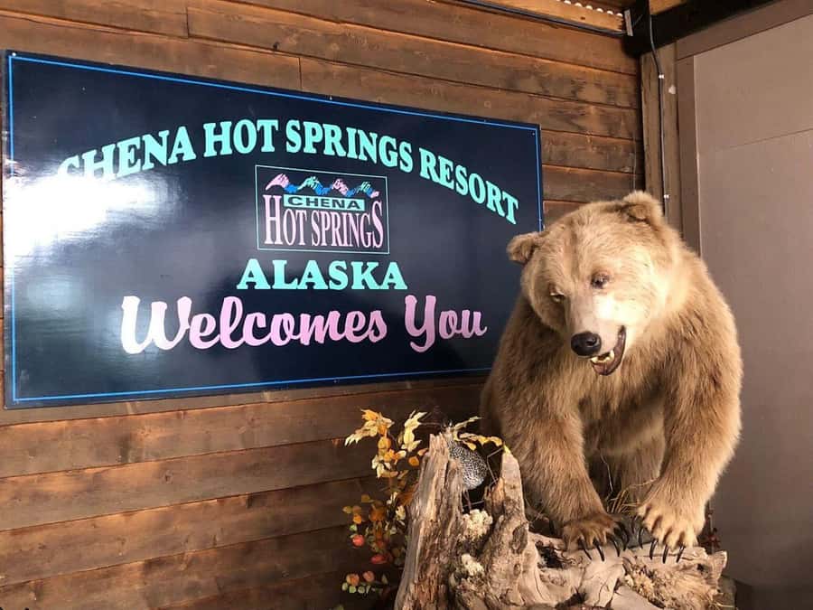 Fairbanks: Northern Lights and Chena Hot Springs Tour - Inside the Aurora Ice Museum