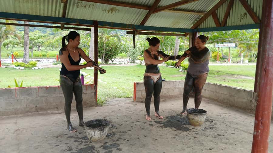 FIJI-NADI: Sabeto Tifajek Hot Spring and Mudpool Tour - Should you book the Sabeto Tifajek mud pool tour?