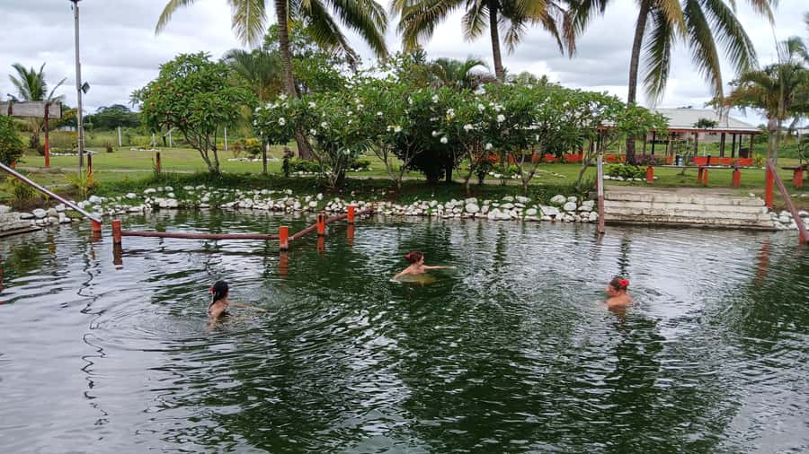 FIJI-NADI: Sabeto Tifajek Hot Spring and Mudpool Tour - Why the $18 price can be good value