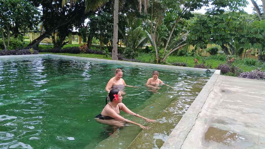 FIJI-NADI: Sabeto Tifajek Hot Spring and Mudpool Tour - A local touch through massage and foot soaking
